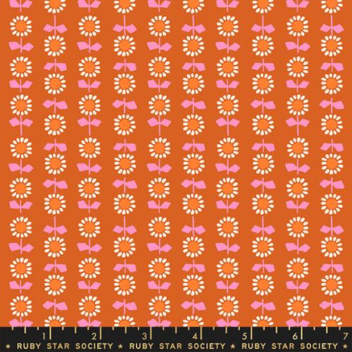 Meadow Star - Bloom - Pecan