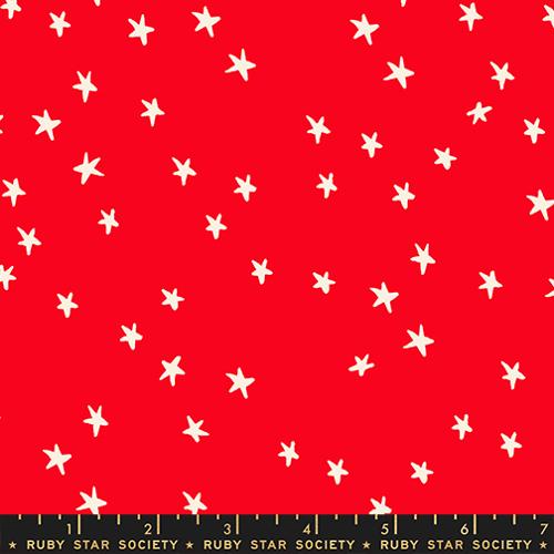 New Starry - Ladybug