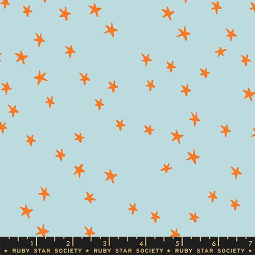 New Starry - Polar