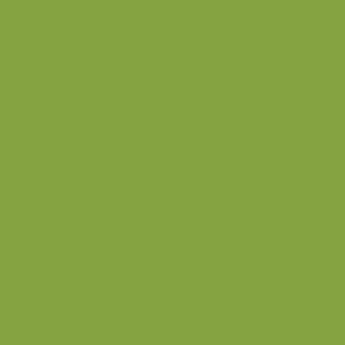 Tula Pink Dragon's Breath - Matcha | Tula Pink Solids