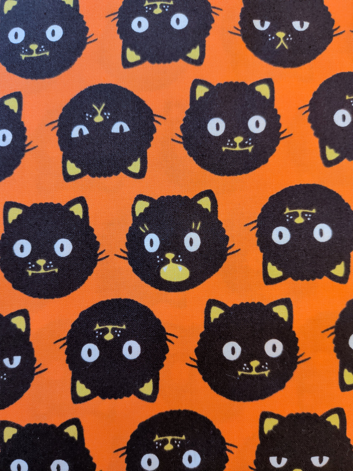 Good Spirits - Scaredy Cats - Pumpkin