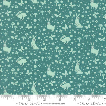 Love Letter - Wonder Dot - Pond