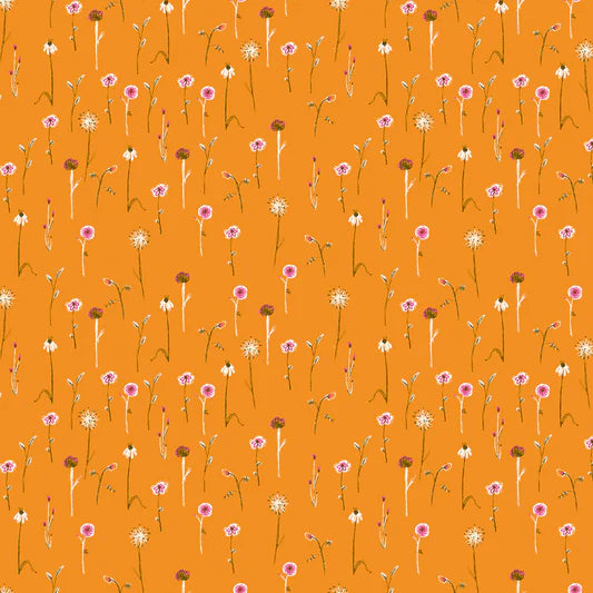 Studio Edit - Wildflowers - Orange
