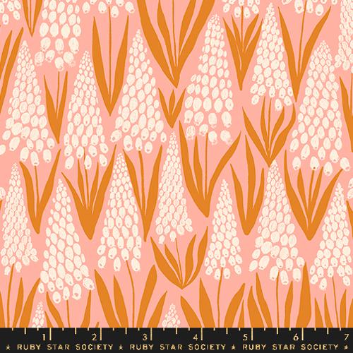 Endpaper - Muscari - Bashful