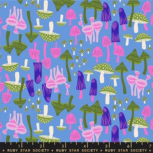 Hello Alice - Mushroom Land - Lindley Blue