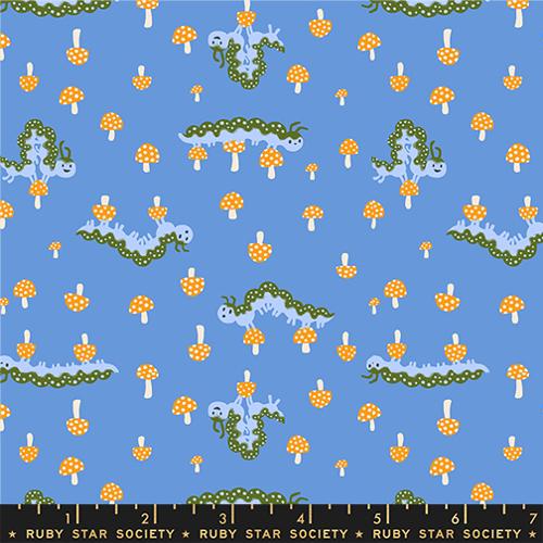 Hello Alice - Caterpillar - Lindley Blue