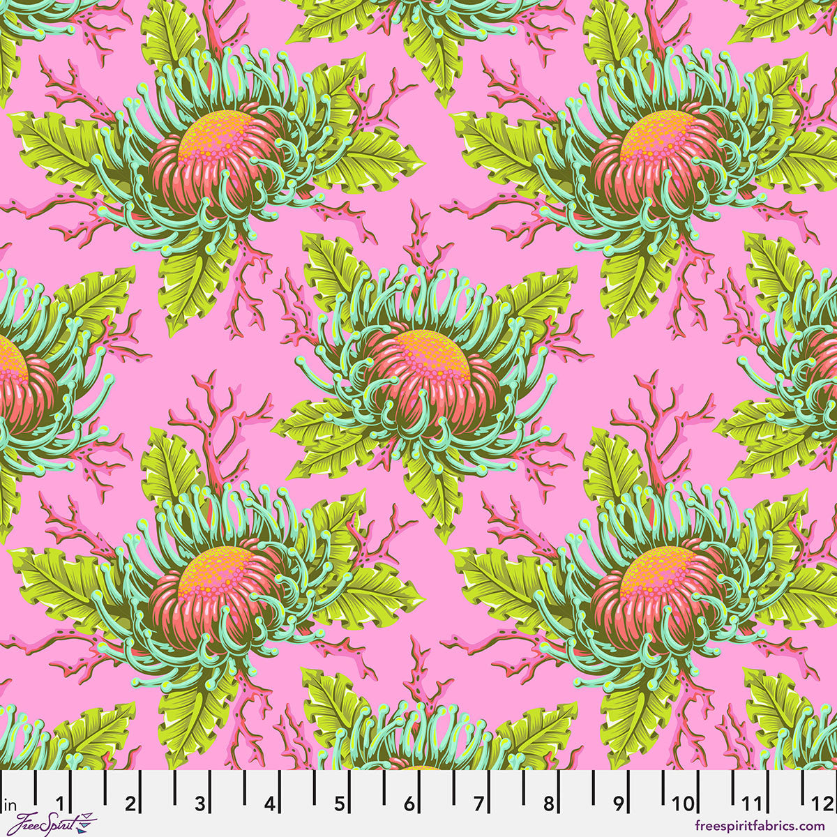 Floral Reef - Friends & Anemones - Coralline [Pre-Order]