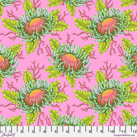 Floral Reef - Friends & Anemones - Coralline [Pre-Order]